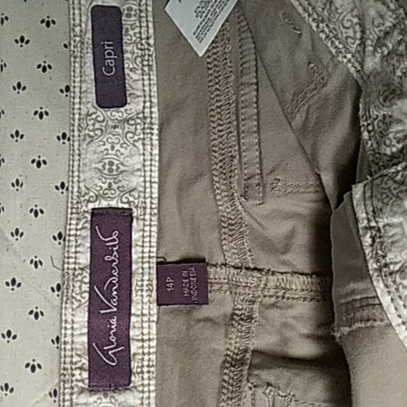 Shorts - Picture 2 of 4